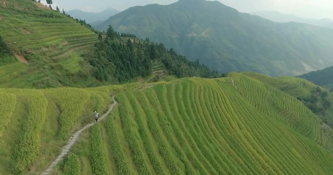 Beautiful epic shot of elderly Asian male peasant farmer in traditional Chinese hat bear beam bamboo sticks. Amazing top view of green Longji Rice Terraced Fields in Ping An Village.
