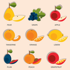Set of colorful cartoon fruit icons: apple, pear, orange, peach, plum, grapes, lemon. Vector illustration isolated on white.