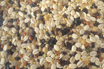 Cereals and beans in plastic bag
