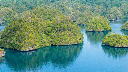 Fototapeta na wymiar Many Rocks covered by Palmtrees in Passage between Gam and Waigeo, View Point near Warikaf Homestay. West Papuan, Raja Ampat, Indonesia