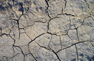 Dryness of dry land. Environmental problem of aridity and drought leading to negative desertification. Soil is cracked and scorched.