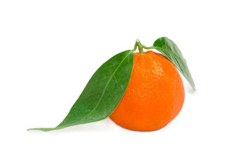 One mandarin orange with leaves on a light background