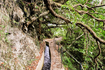 Levadawanderung bei Ribeiro Frio im Nord-Osten von Madeira