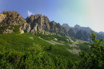 Fototapeta na wymiar A beautiful mountain landscape with trees