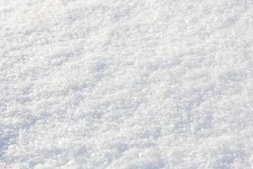Background, texture, white fluffy snow, different depth of field