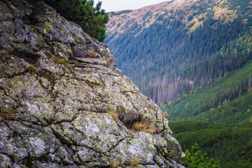 A beautiful mountain landscape with trees