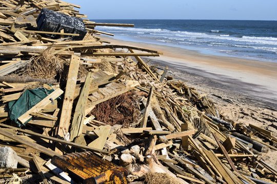 Beach debris caused by hurricane Matthew hitting on the east coast of Florida, USA