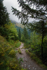 A beautiful mountain landscape with trees