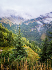 A beautiful mountain landscape with trees