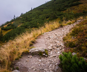 A beautiful mountain landscape with trees