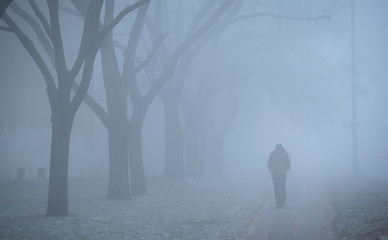 Man walking on the street a foggy day - obrazy, fototapety, plakaty