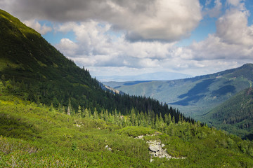 Fototapeta premium A beautiful mountain landscape with trees