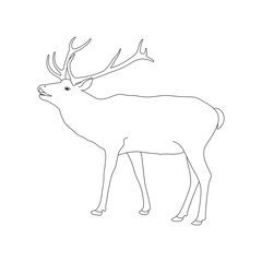 Vector coloring book page with reindeer. Outline drawing.