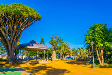 Genoves park situated on seaside of cadiz © dudlajzov