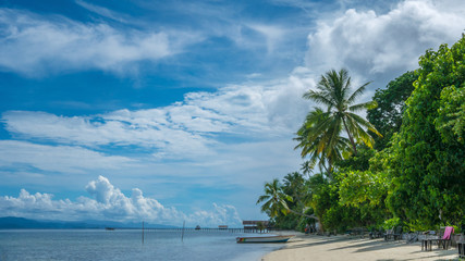Coconat Palm on Kri Island, Homestay and Pier in Background. Raja Ampat, Indonesia, West Papua