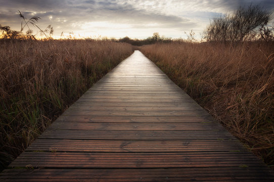 The boardwalk at Cosmeston Lakes Country Park, situated between Penarth and Sully in the Vale of Glamorgan, South Wales
