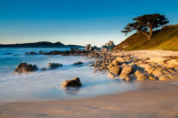 Foto auf Glas Sunrise at coast of Carmel, CA © Laurens