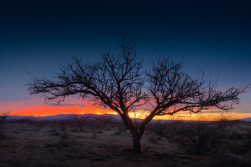 Sunset near St. David, Arizona