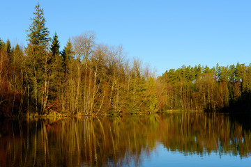 Obraz premium Motionless and windless forest lake in late fall or early winter. Location Brantafors outside Ronneby in Sweden.