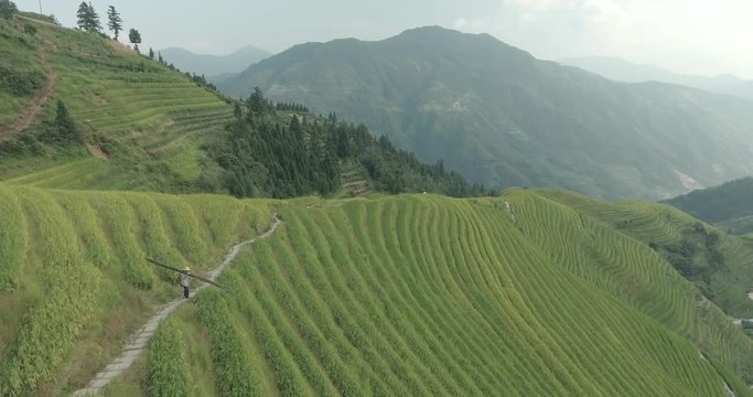 Beautiful epic shot of elderly Asian male peasant farmer in traditional Chinese hat bear beam bamboo sticks. Amazing top view of green Longji Rice Terraced Fields in Ping An Village.