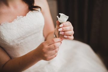 beautiful white rose in the hands of the bride