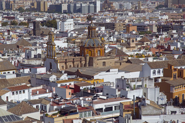 Fototapeta premium Seville City in Spain from the Cathedral of Saint Mary of the See