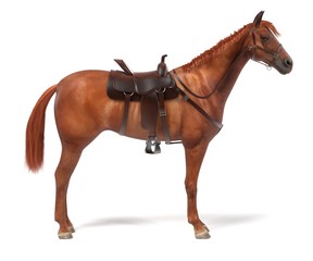 realistic 3d render of horse © bescec
