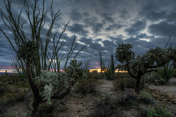 Sunset at Tucson Mountain Park, AZ