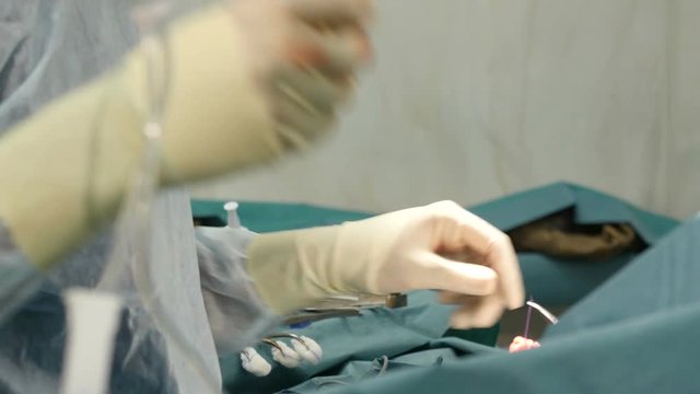 Surgeons during surgical operation. Surgeon stitching up.