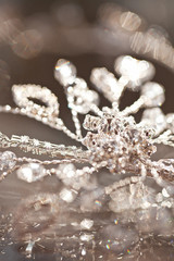 The composition of beautiful wedding accessories bride