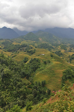 terraced rice and hut on the hill Sapa Vietnam