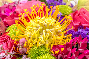 Colorful flower bouquet from red roses isolated on white background. 