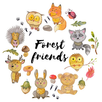 Watercolor pattern with animals Cute forest friends
