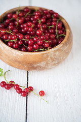 Fresh red currants