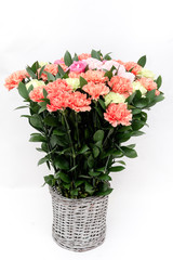 Color carnations flower in a bucket on white background