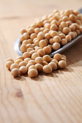 soy bean