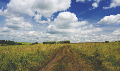 Sunny summer landscape with countryside road