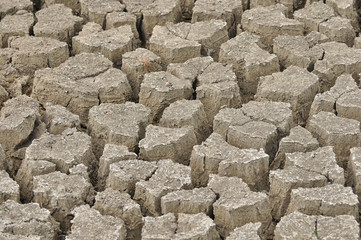 Cracked mud texture background