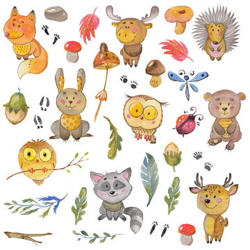 Watercolor pattern with animals Cute forest friends
