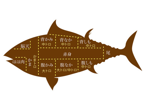 マグロ解体 の画像 346 件の Stock 写真 ベクターおよびビデオ Adobe Stock