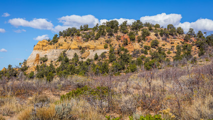 Fototapeta na wymiar Beautiful landscape. Green trees on rock slopes. Scenic view of the canyon. Zion National Park, Utah, USA