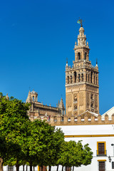 Fototapeta premium View of Seville Cathedral - Andalusia, Spain