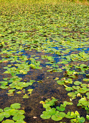 Cuyahoga Valley National Park