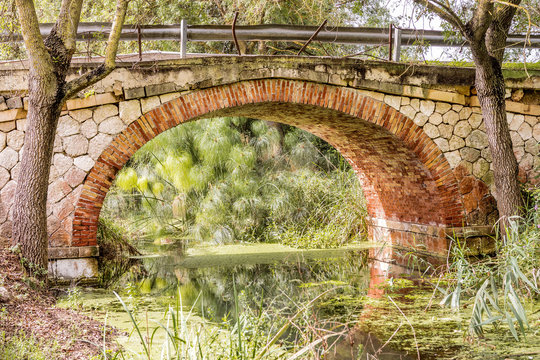 The papyrus bridge