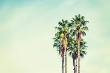 Papier Peint photo autocollant Palmier palmiers à Los Angeles en ton vintage