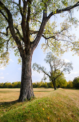 Obraz premium Hopewell Culture National Historical Park