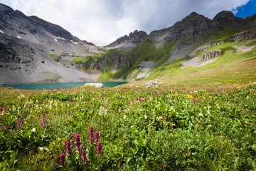 Wild Flowers at Clear Lake at County Road 12, San Juan Nat'l For