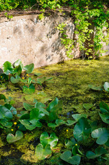 Cuyahoga Valley National Park