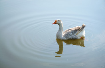 Cuyahoga Valley National Park