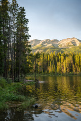 Honeymoon Lake, Jasper National Park, Alberta, CA